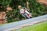 PJ-Motorsport-2019;anglesey;brands-hatch;cadwell-park;croft;donington-park;enduro-digital-images;event-digital-images;eventdigitalimages;mallory;no-limits;oulton-park;peter-wileman-photography;racing-digital-images;silverstone;snetterton;trackday-digital-images;trackday-photos;vmcc-banbury-run;welsh-2-day-enduro
